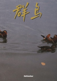 群鸟飞过湖面动静描写写一段话